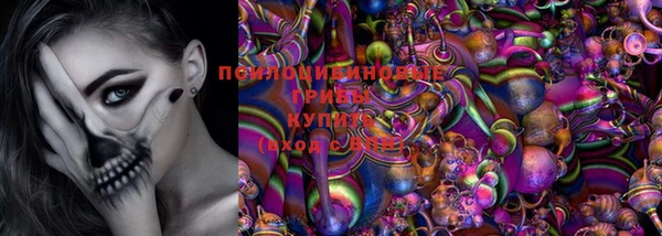 тгк Мегион