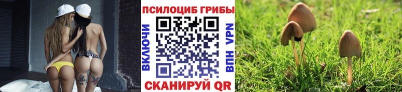 KRAKEN маркетплейс  наркота  Павловский Посад  Псилоцибиновые грибы Psilocybine cubensis 