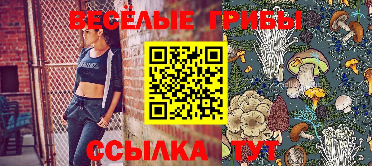 Псилоцибиновые грибы MAGIC MUSHROOMS Павловский Посад