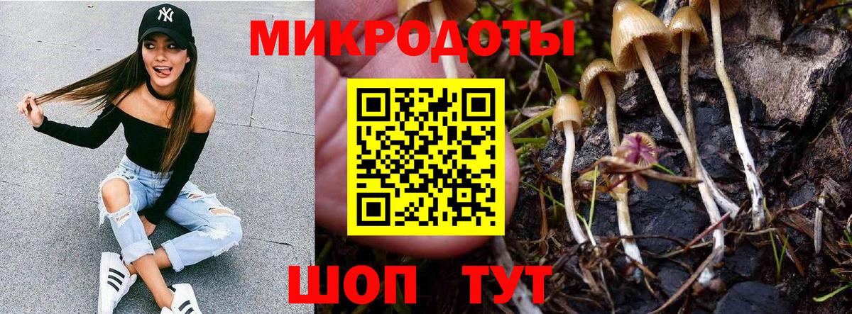 как найти закладки  Вход с VPN  Павловский Посад  Галлюциногенные грибы Cubensis 